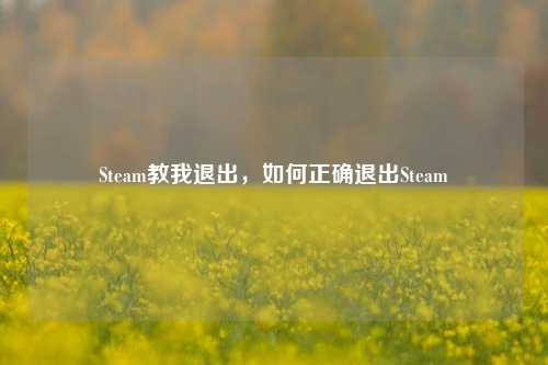 Steam教我退出，如何正确退出Steam