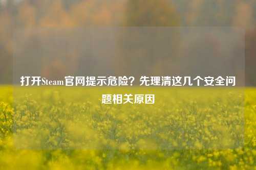 打开Steam官网提示危险？先理清这几个安全问题相关原因