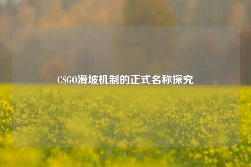 CSGO滑坡机制的正式名称探究