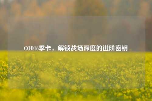 COD16季卡,解锁战场深度的进阶密钥