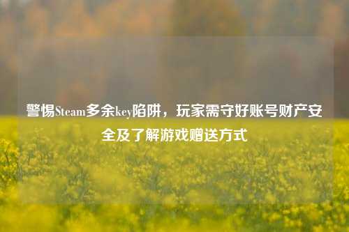 警惕Steam多余key陷阱，玩家需守好账号财产安全及了解游戏赠送方式
