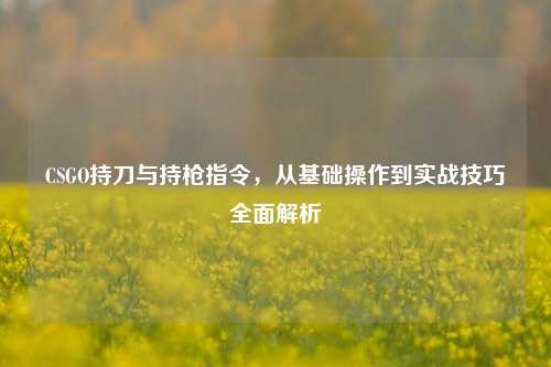 CSGO持刀与持枪指令，从基础操作到实战技巧全面解析