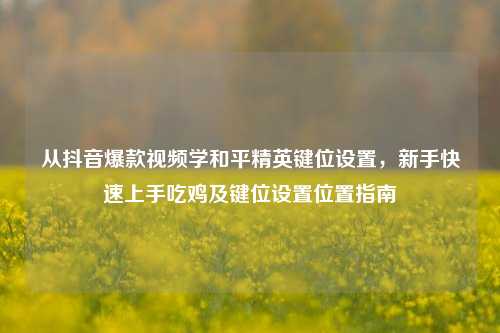 从抖音爆款视频学和平精英键位设置，新手快速上手吃鸡及键位设置位置指南