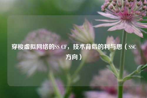 穿梭虚拟网络的SS CF，技术背后的利与思（SSC方向）