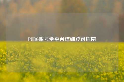PUBG账号全平台详细登录指南