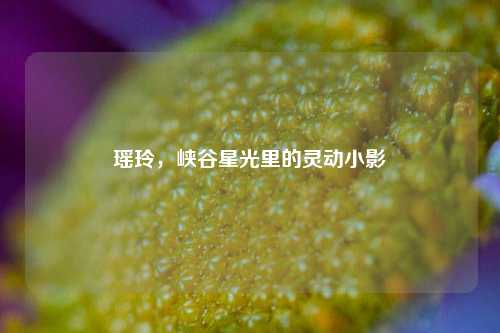 瑶玲,峡谷星光里的灵动小影