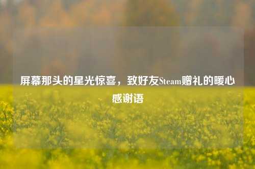 屏幕那头的星光惊喜，致好友Steam赠礼的暖心感谢语