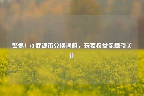 警惕！CF武魂币兑换遇阻，玩家权益保障引关注