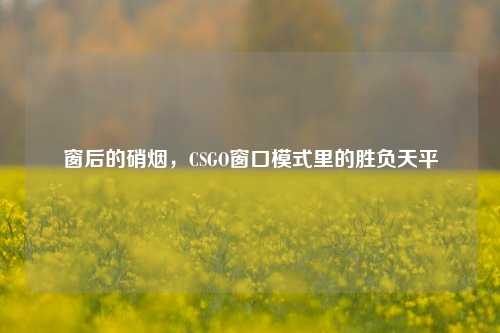 窗后的硝烟，CSGO窗口模式里的胜负天平