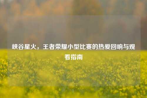 峡谷星火，王者荣耀小型比赛的热爱回响与观看指南