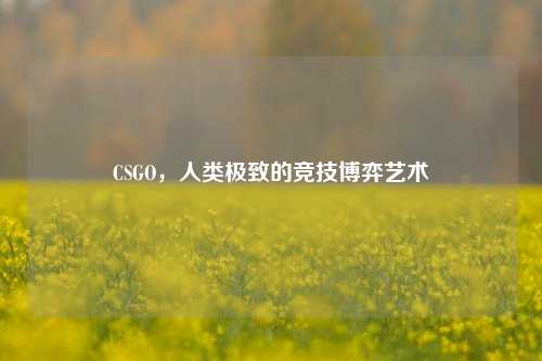 CSGO，人类极致的竞技博弈艺术