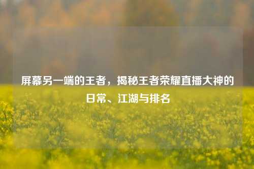屏幕另一端的王者，揭秘王者荣耀直播大神的日常、江湖与排名