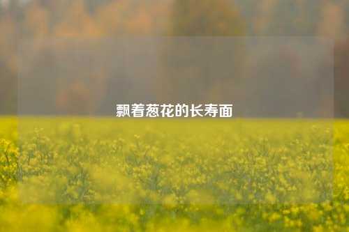 飘着葱花的长寿面