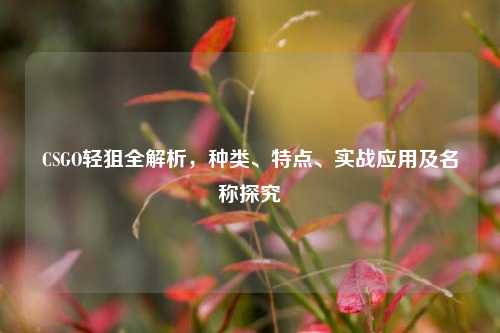 CSGO轻狙全解析，种类、特点、实战应用及名称探究