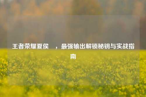 王者荣耀夏侯惇,最强输出解锁秘钥与实战指南