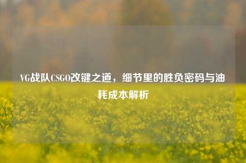 VG战队CSGO改键之道，细节里的胜负密码与油耗成本解析