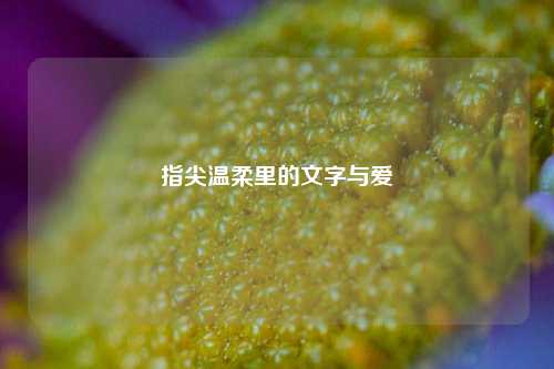 指尖温柔里的文字与爱