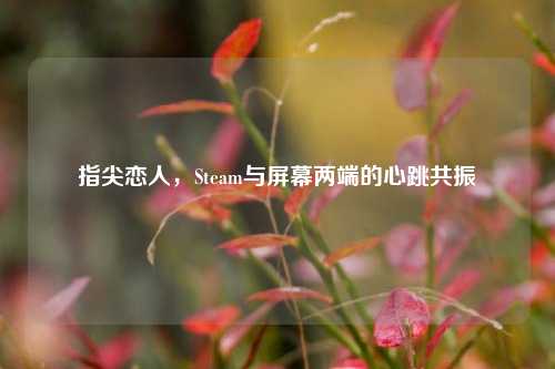 指尖恋人，Steam与屏幕两端的心跳共振