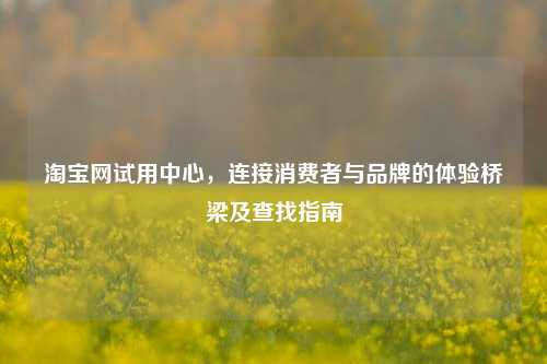 淘宝网试用中心，连接消费者与品牌的体验桥梁及查找指南