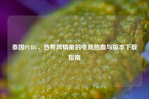 泰国PUBG，热带风情里的电竞热血与版本下载指南