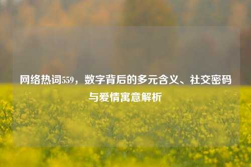 网络热词559，数字背后的多元含义、社交密码与爱情寓意解析