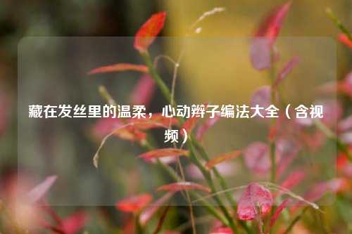 藏在发丝里的温柔，心动辫子编法大全（含视频）