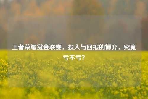 王者荣耀赏金联赛,投入与回报的博弈,究竟亏不亏?