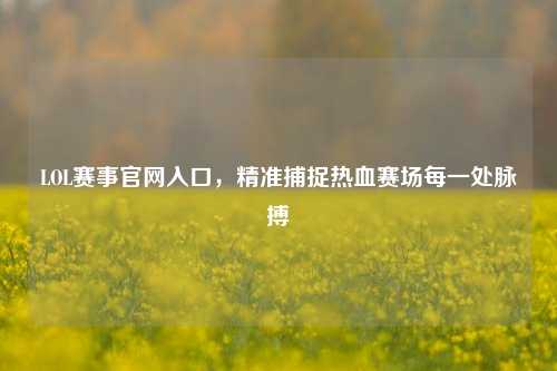 LOL赛事官网入口，精准捕捉热血赛场每一处脉搏