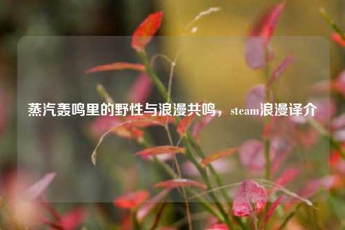蒸汽轰鸣里的野性与浪漫共鸣，steam浪漫译介