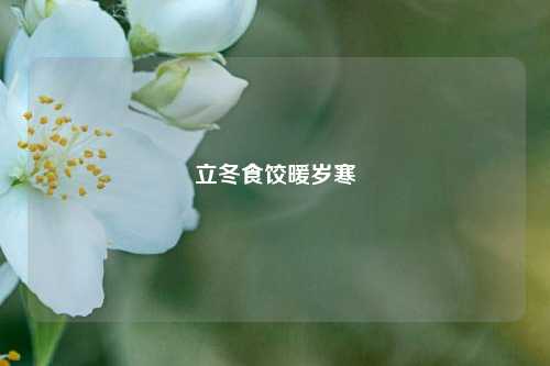 立冬食饺暖岁寒