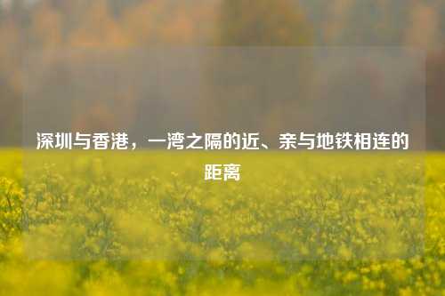 深圳与香港，一湾之隔的近、亲与地铁相连的距离