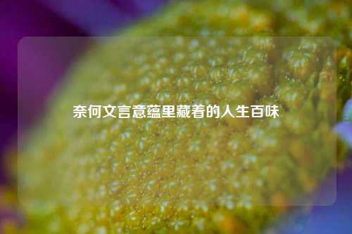 奈何文言意蕴里藏着的人生百味