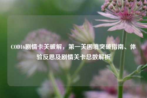 COD16剧情卡关破解，第一关困境突破指南、体验反思及剧情关卡总数解析