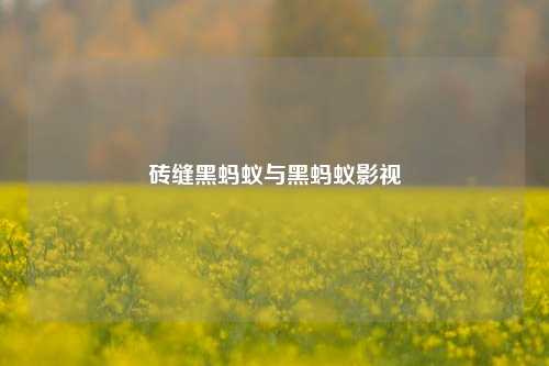 砖缝黑蚂蚁与黑蚂蚁影视