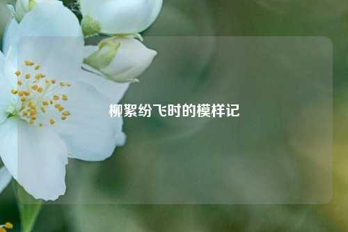 柳絮纷飞时的模样记