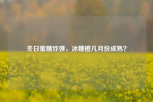 冬日蜜糖炸弹，冰糖橙几月份成熟？