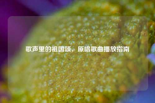 歌声里的祖国颂,原唱歌曲播放指南