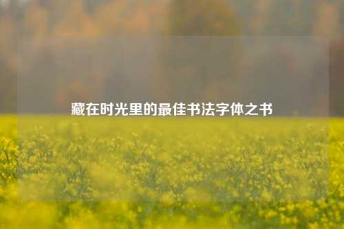 藏在时光里的最佳书法字体之书
