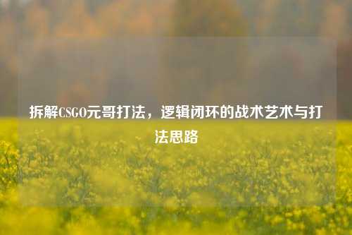 拆解CSGO元哥打法，逻辑闭环的战术艺术与打法思路