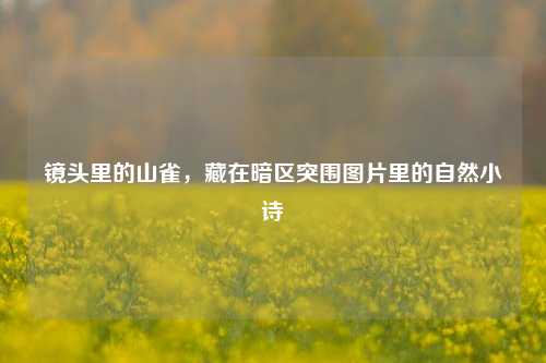 镜头里的山雀,藏在暗区突围图片里的自然小诗