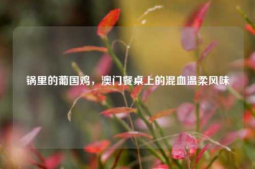 锅里的葡国鸡，澳门餐桌上的混血温柔风味