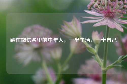 藏在微信名里的中年人，一半生活，一半自己