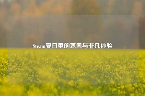 Steam夏日里的寒风与非凡体验