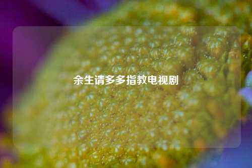 余生请多多指教电视剧