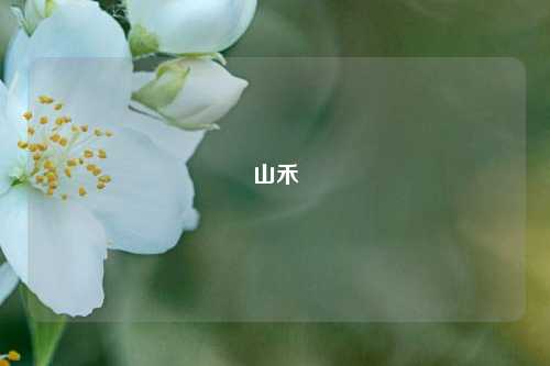 山禾