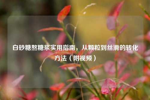 白砂糖熬糖浆实用指南，从颗粒到丝滑的转化方法（附视频）