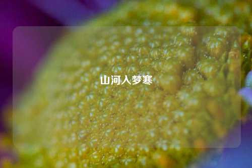 山河入梦寒