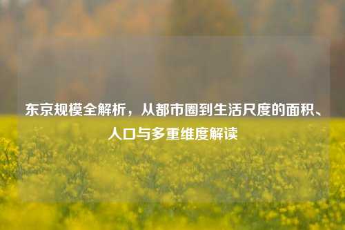 东京规模全解析，从都市圈到生活尺度的面积、人口与多重维度解读