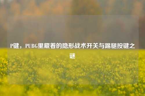 P键,PUBG里藏着的隐形战术开关与踢腿按键之谜