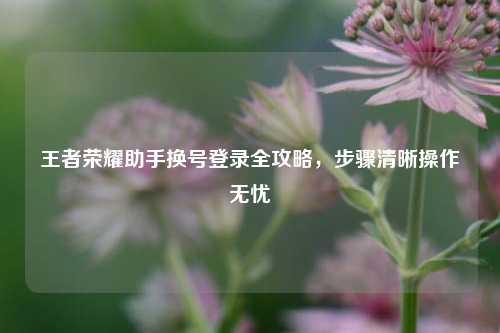 王者荣耀助手换号登录全攻略，步骤清晰操作无忧